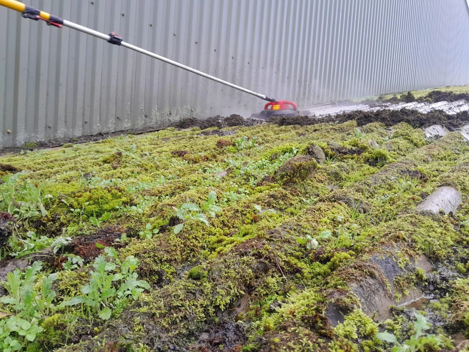 Commercial roof cleaning beside metal cladding
