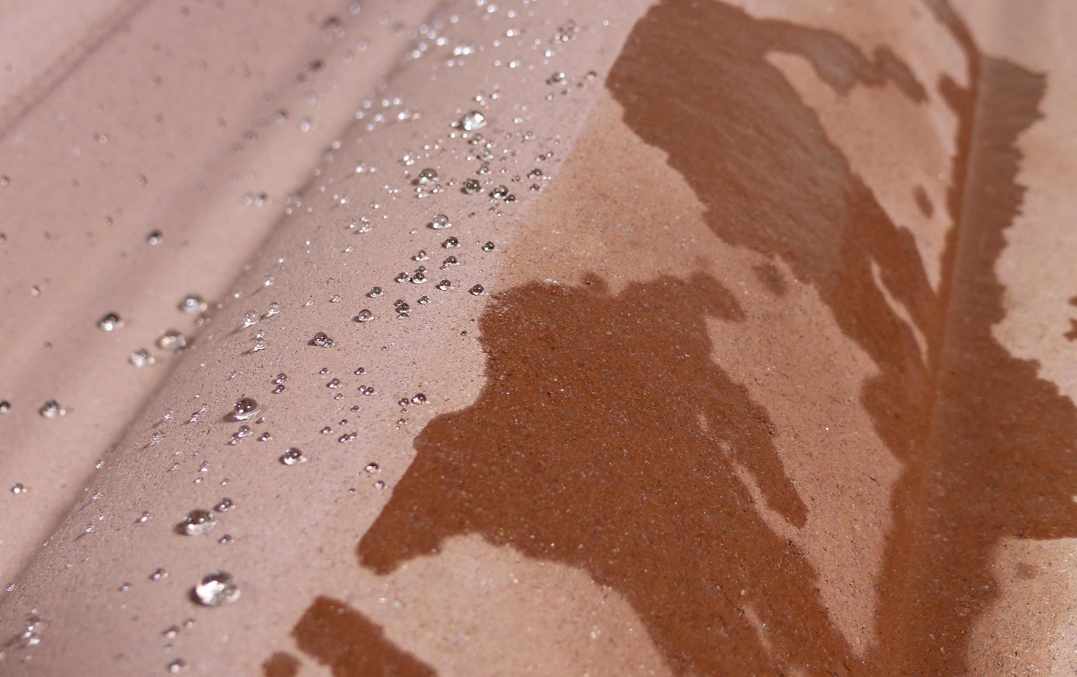 Contrasting roof tile surfaces